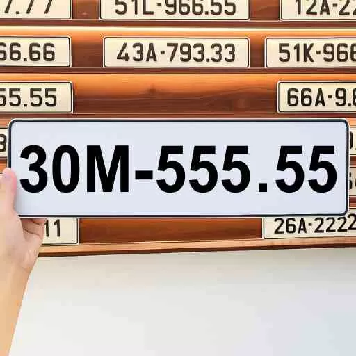 Biển số 30M-555.55