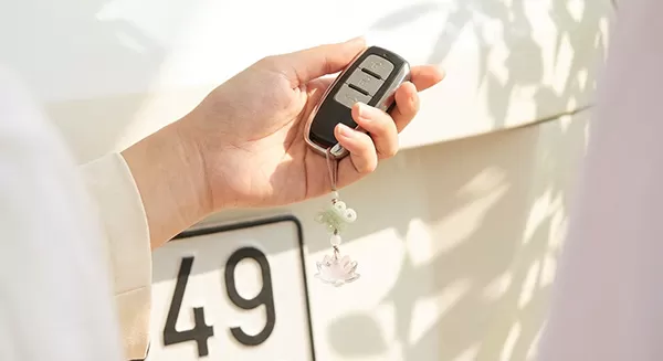 biển số xe đuôi 49 có ý nghĩa gì theo quan niệm dân gian