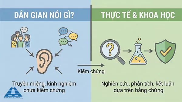 biển số xe 4 nút có ý nghĩa gì theo quan niệm dân gian
