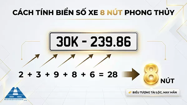 biển số xe 8 n&uacute;t l&agrave; g&igrave;