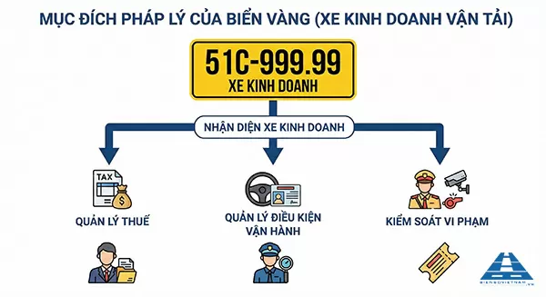 biển số xe màu vàng có ý nghĩa gì theo quy định pháp luật