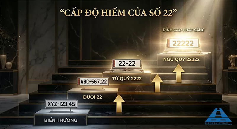 v&igrave; sao tứ qu&yacute; ngũ qu&yacute; 22 được săn đ&oacute;n