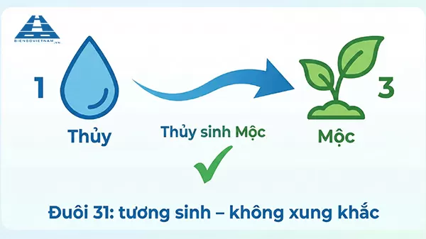 ý nghĩa biển số xe đuôi 31 theo phong thuỷ