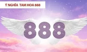 GIẢI MÃ Ý NGHĨA BIỂN SỐ XE ĐUÔI 888