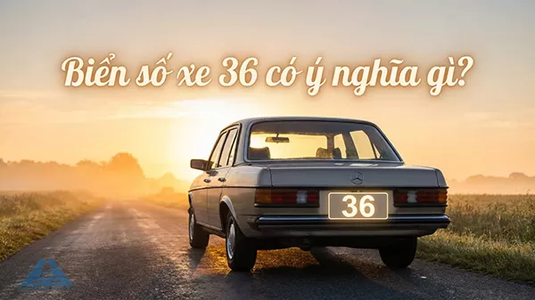 Biển số xe 36 có ý nghĩa gì? Con số mang tài lộc hay xui rủi?